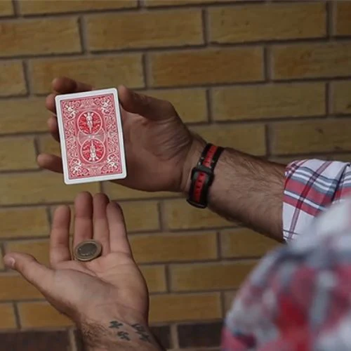 Thumb 5