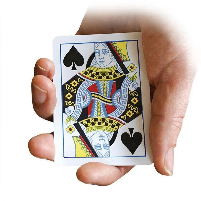 Miniature 1