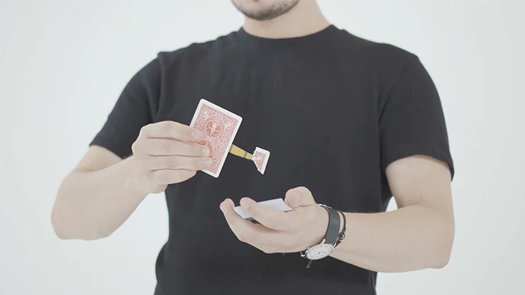 Thumb 3