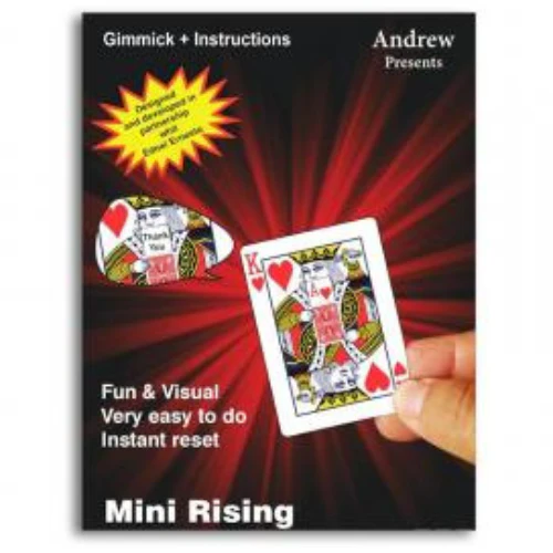 Miniature 1