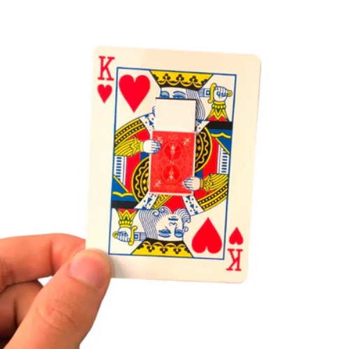 Miniature 2