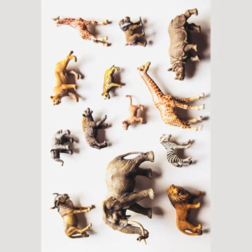 Miniature 1