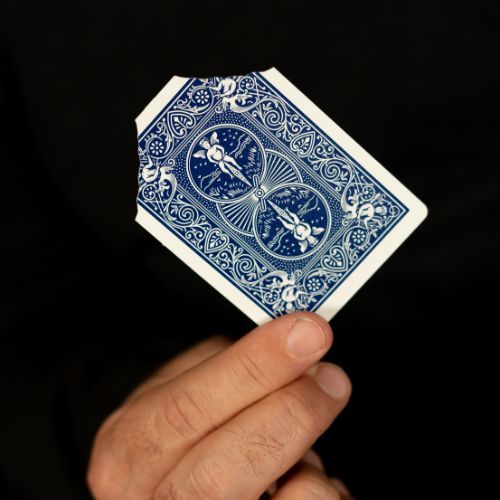 Miniature 1